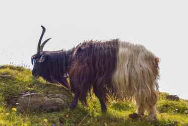 Similar image 21263833