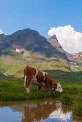 Similar image 21263834