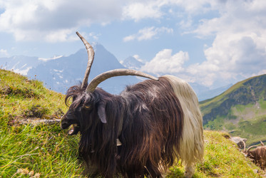 Similar image 21263835