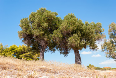 Similar image 21265673