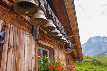 Similar image 21263279