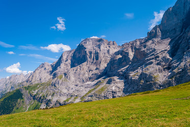 Similar image 21263836