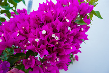 Similar image 21263839