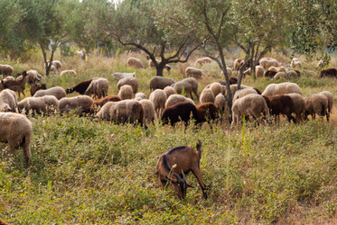 Similar image 21264642