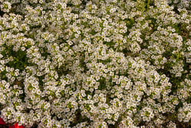 Similar image 21265674