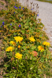 Similar image 21266605