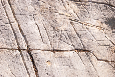 Similar image 21266606