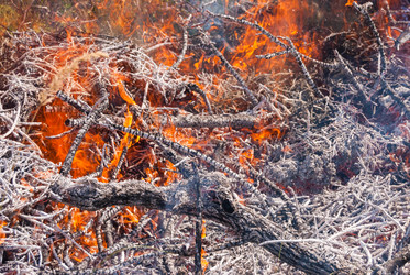 Similar image 21281821