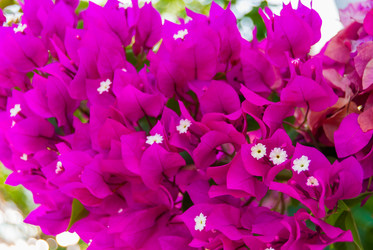 Similar image 21260197