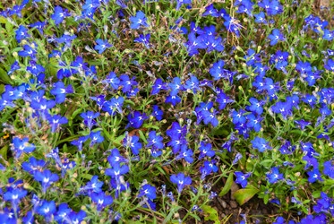 Similar image 21260419