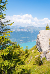 Similar image 21260420