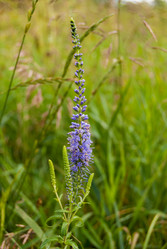 Similar image 21260995