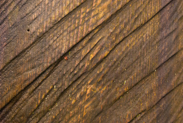 Similar image 21260996