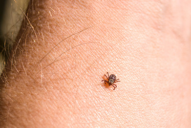 Similar image 21260997