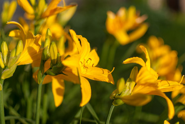 Similar image 21261892