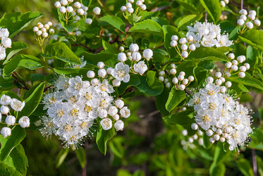 Similar image 21265039