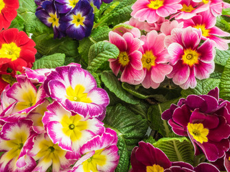 Similar image 21266608