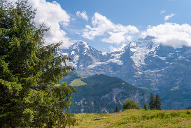 Similar image 21260998