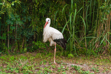 Similar image 21261001