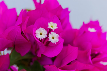 Similar image 21266612