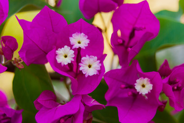 Similar image 21266614