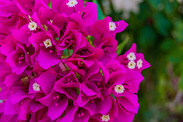 Similar image 21266615