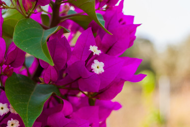 Similar image 21266873