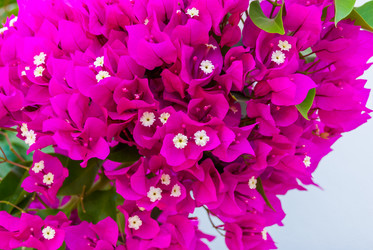 Similar image 21281824