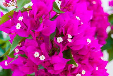 Similar image 21281825