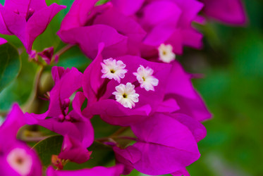 Similar image 21260421