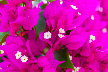 Similar image 21260423