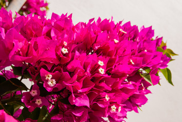 Similar image 21260424