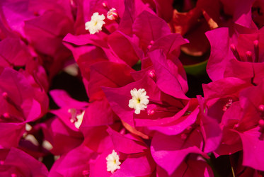 Similar image 21260425