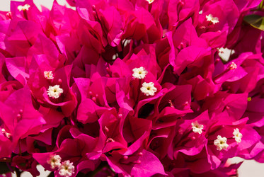 Similar image 21260426