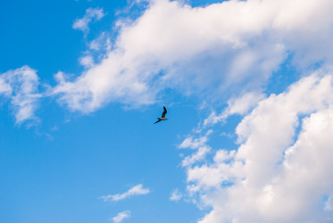 Similar image 21260770