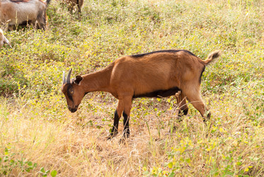 Similar image 21263284