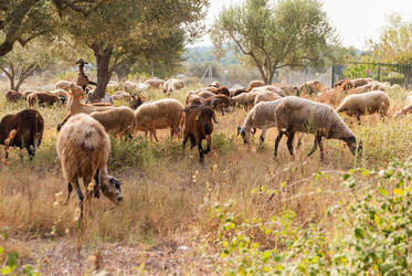 Similar image 21263285