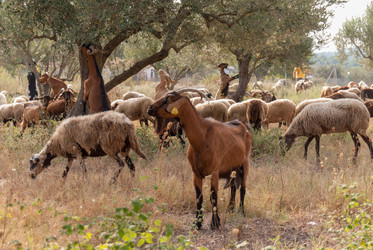 Similar image 21263858