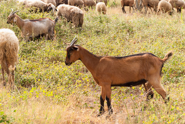 Similar image 21263860