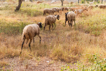 Similar image 21263863