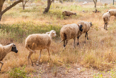 Similar image 21263864