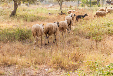 Similar image 21264647