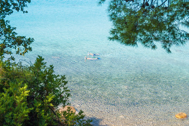 Similar image 21260432