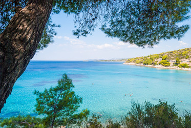 Similar image 21260782