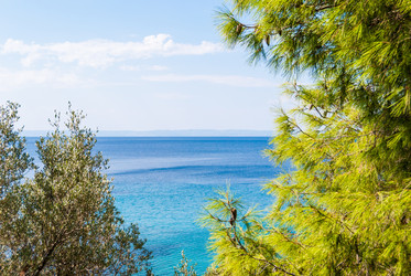 Similar image 21260788