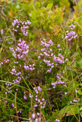 Similar image 21263870