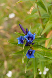 Similar image 21264650