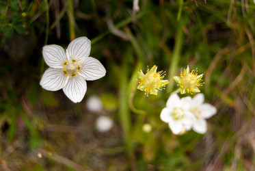 Similar image 21264651