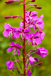 Similar image 21265044