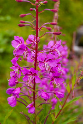 Similar image 21265702